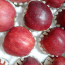 땀내기농원 홍로 5kg(11-12과)
